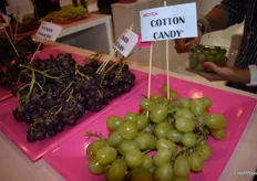 Uvas Cotton Candy, una de las referencias de Moyca. 
