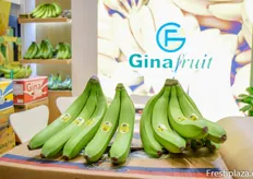 Los plátanos de Ginafruit